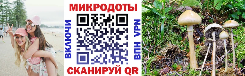закладка  Выборг  Галлюциногенные грибы Magic Shrooms 