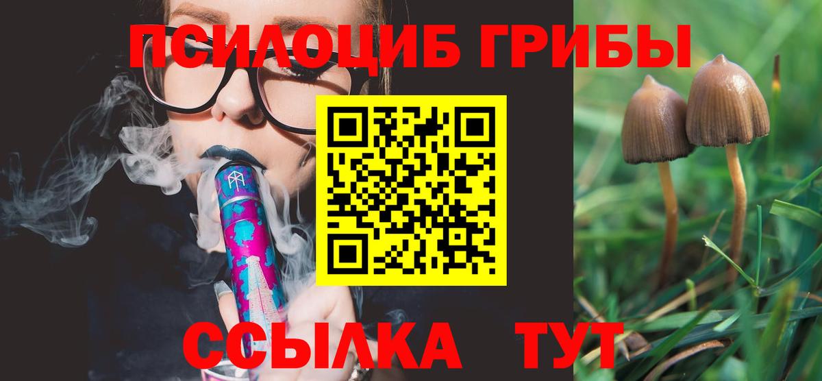 Выборг  Псилоцибиновые грибы Cubensis  где можно купить   Галлюциногенные грибы Psilocybine cubensis  Вход с VPN 